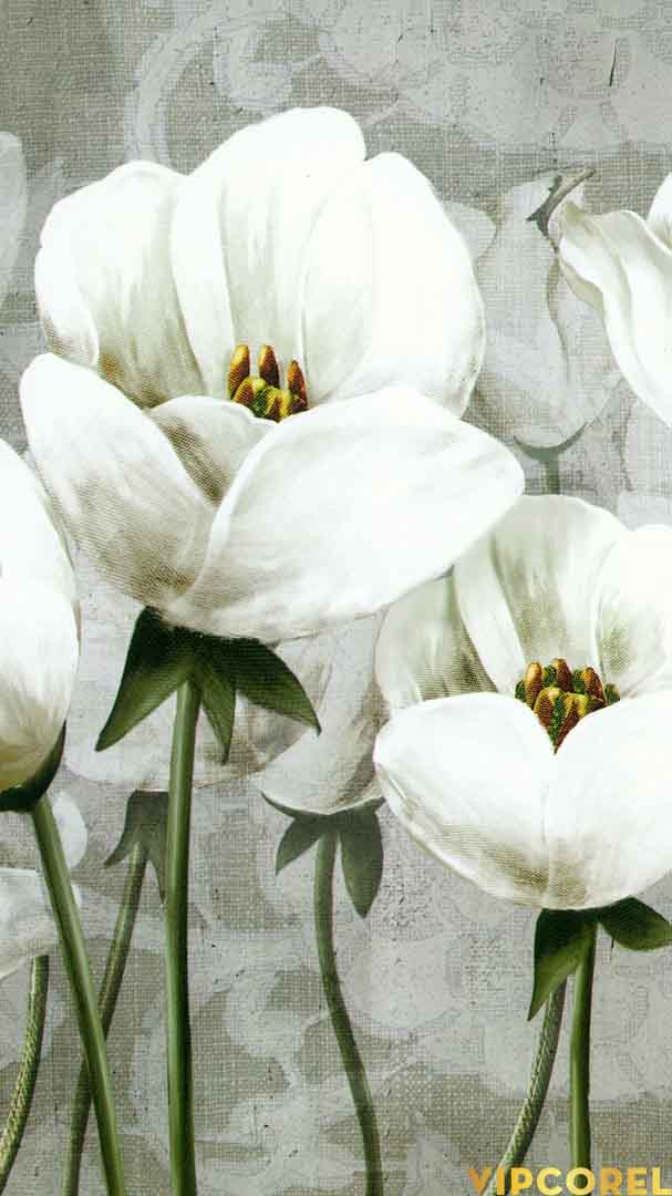 VIPcorel.com_12603.jpg