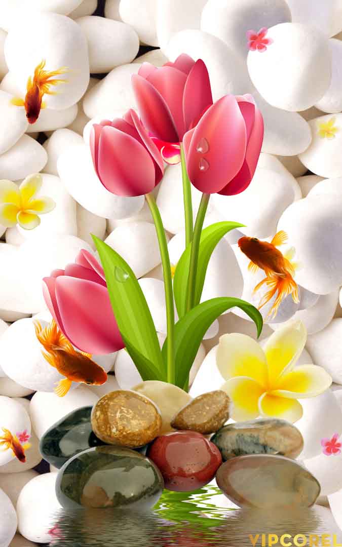 VIPcorel.com_12608.jpg