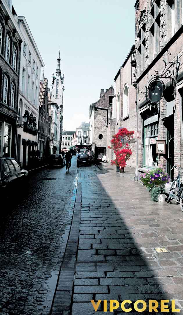 VIPcorel.com_12709.jpg