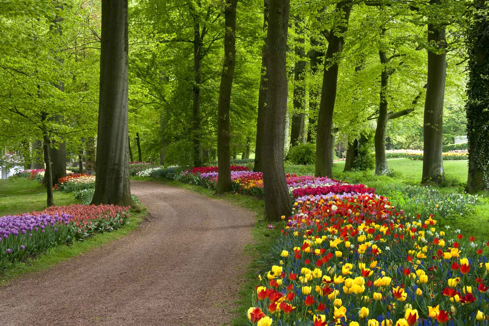 VIPcorel.com_12768.jpg