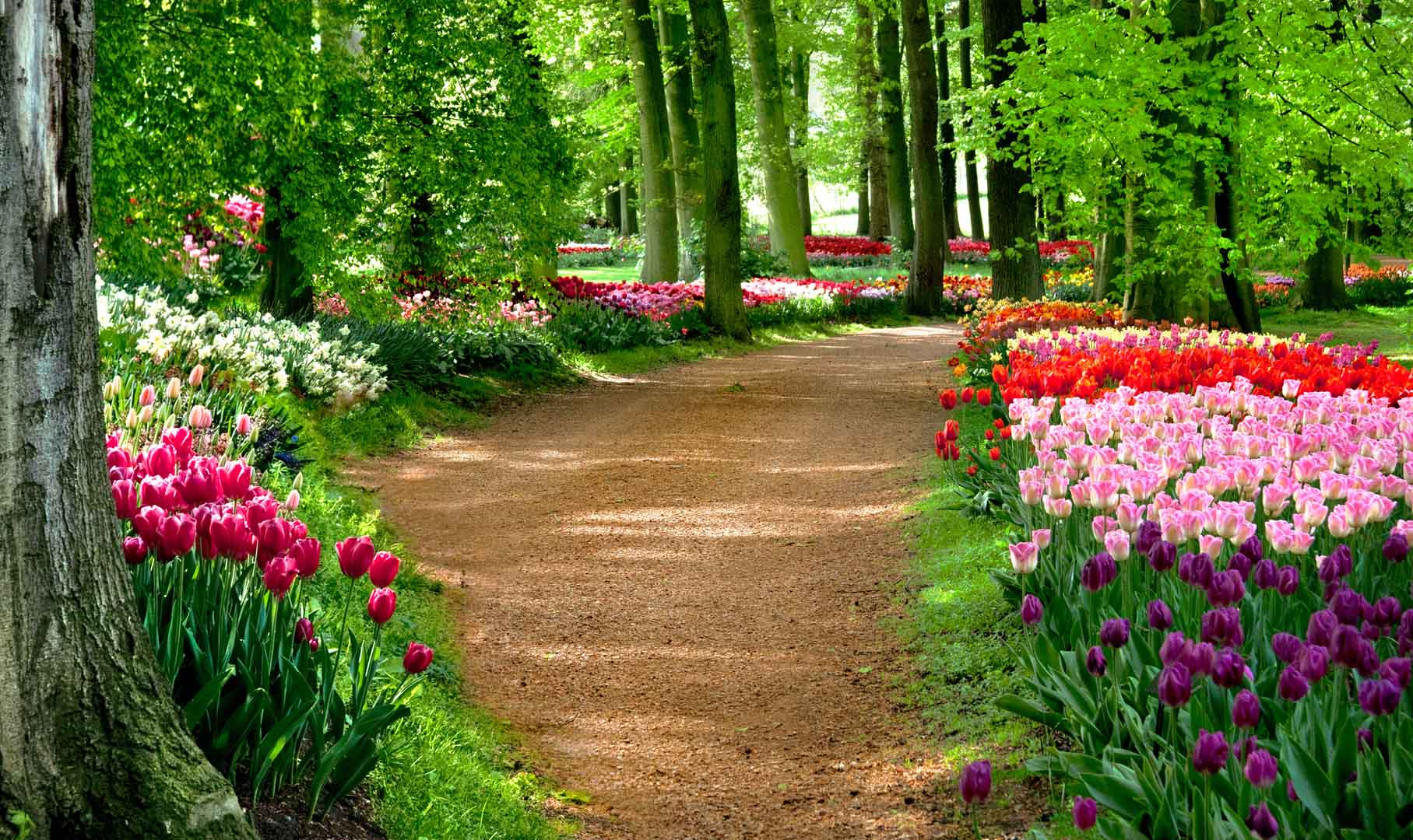VIPcorel.com_12769.jpg