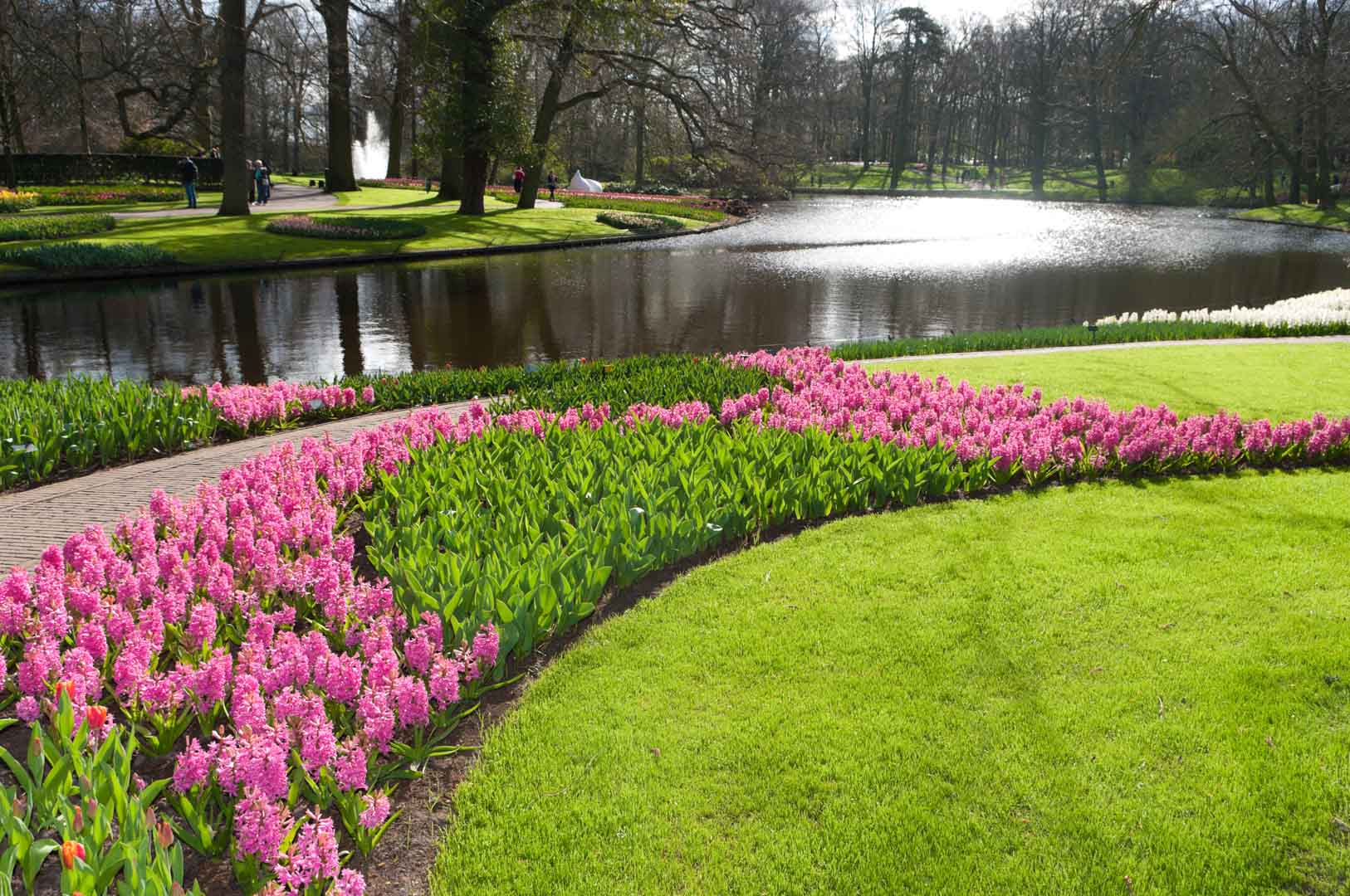 VIPcorel.com_12771.jpg