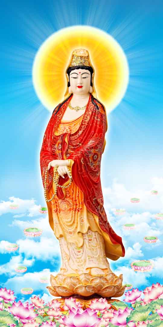 VIPcorel.com_12798.jpg