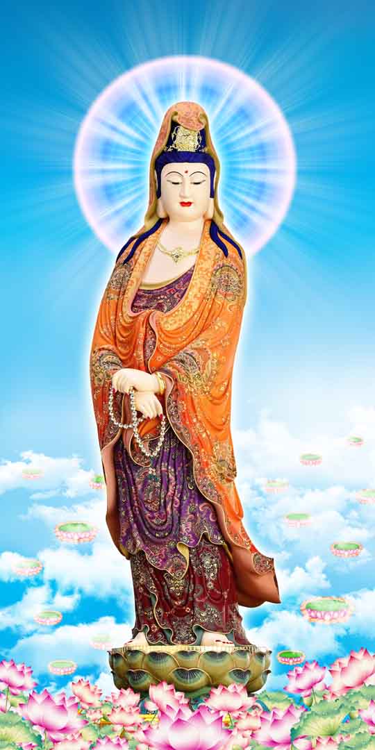 VIPcorel.com_12800.jpg