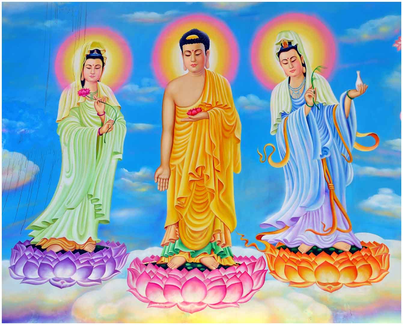 VIPcorel.com_12900.jpg
