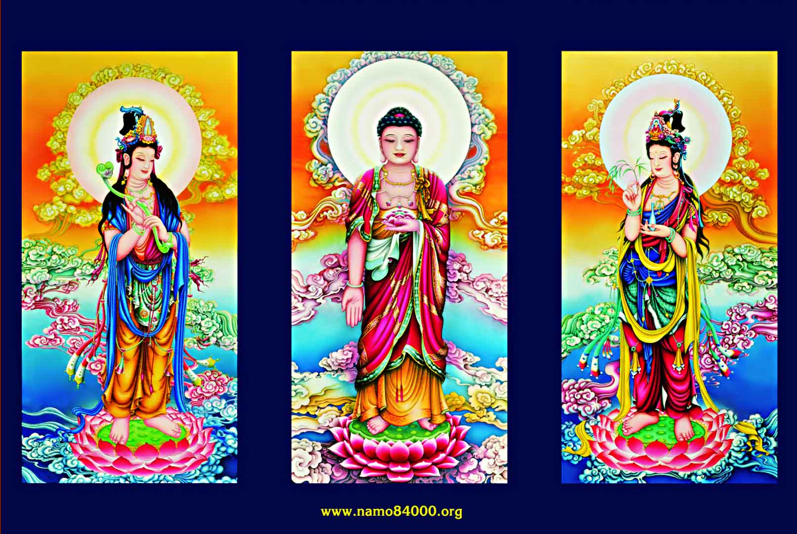 VIPcorel.com_12919.jpg