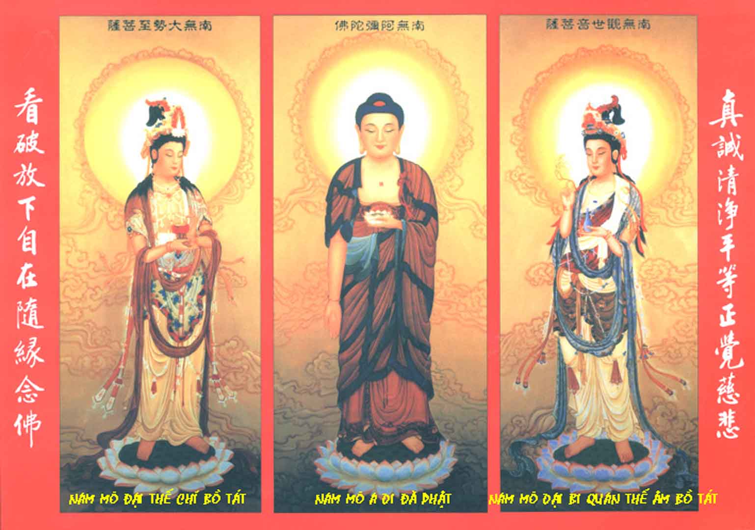 VIPcorel.com_12922.jpg