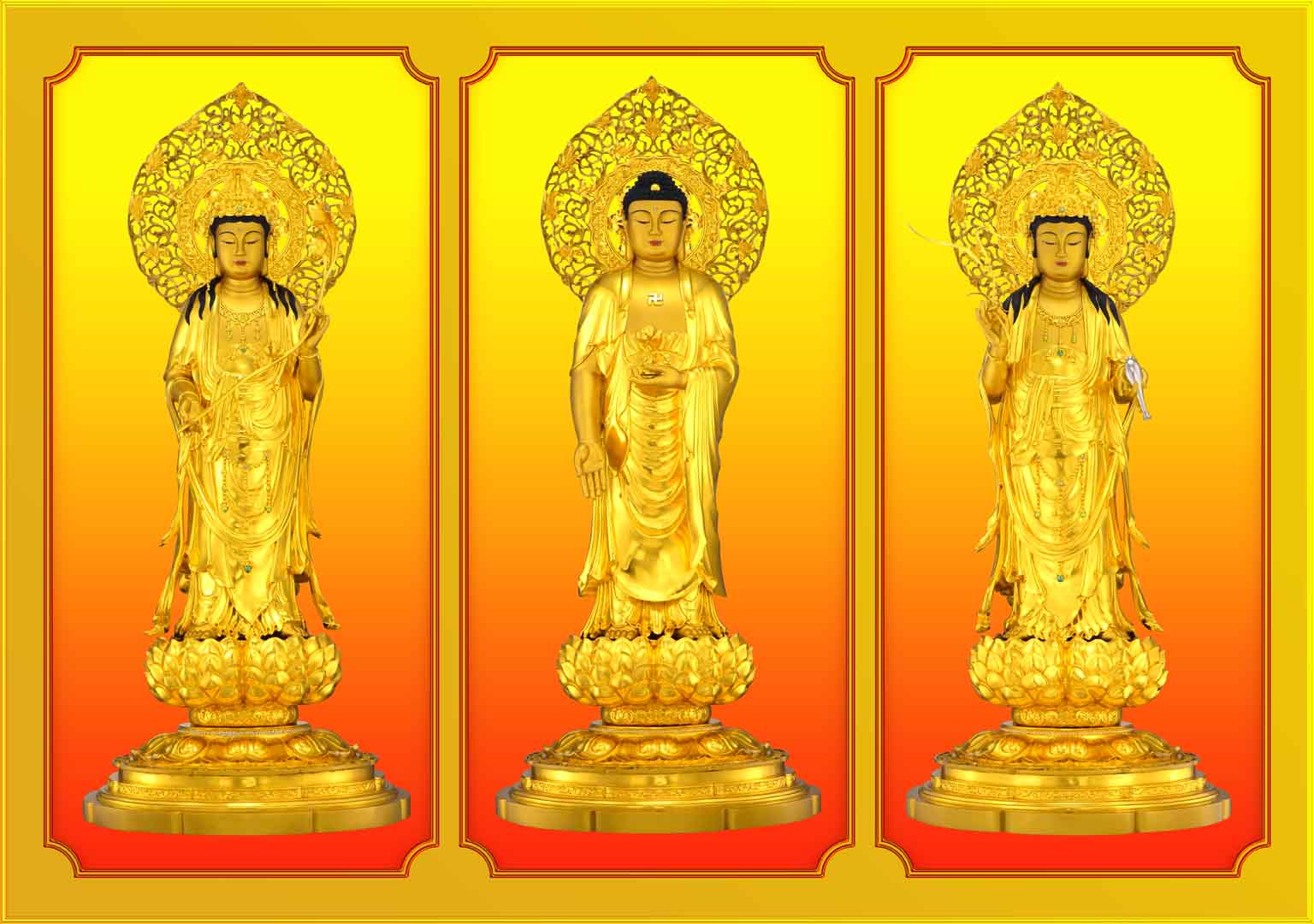 VIPcorel.com_12924.jpg