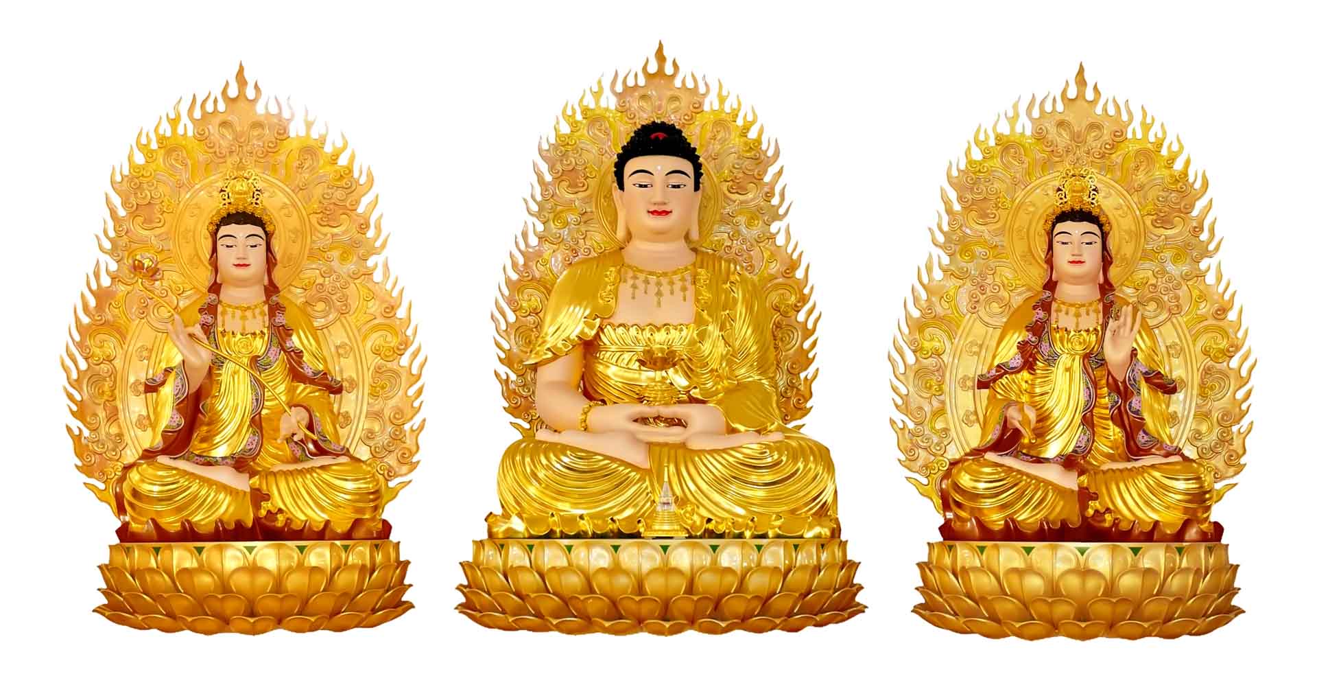 VIPcorel.com_12931.jpg