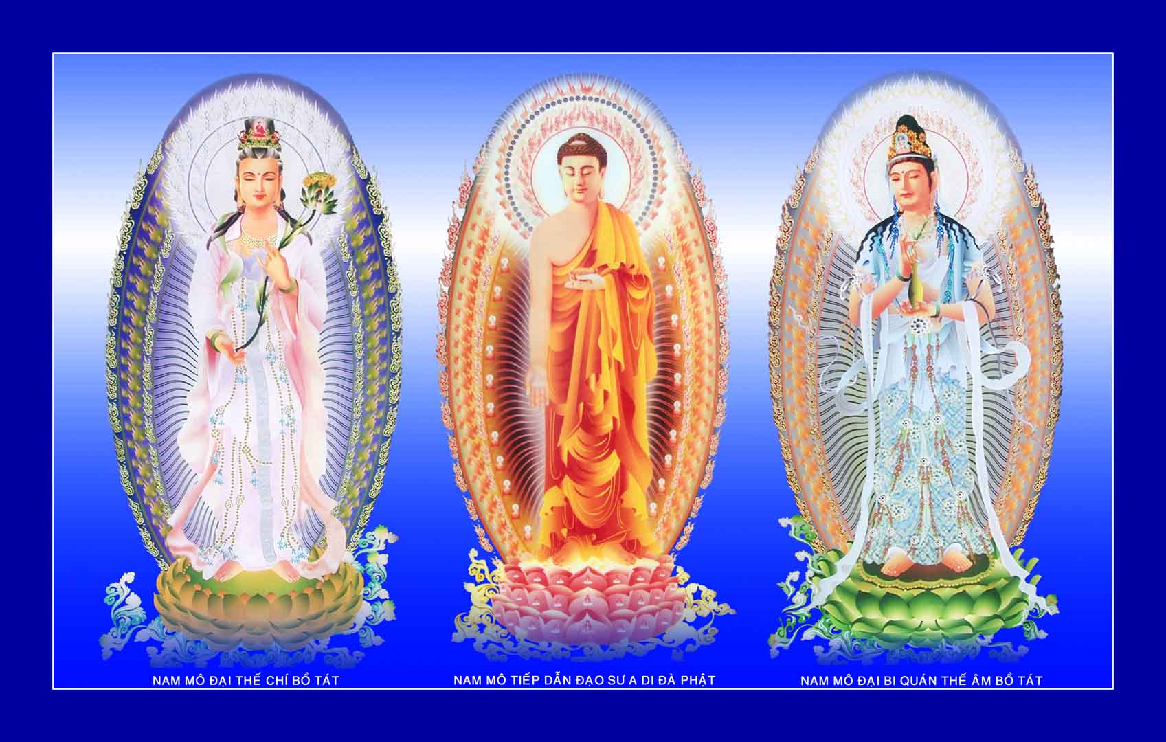 VIPcorel.com_12942.jpg