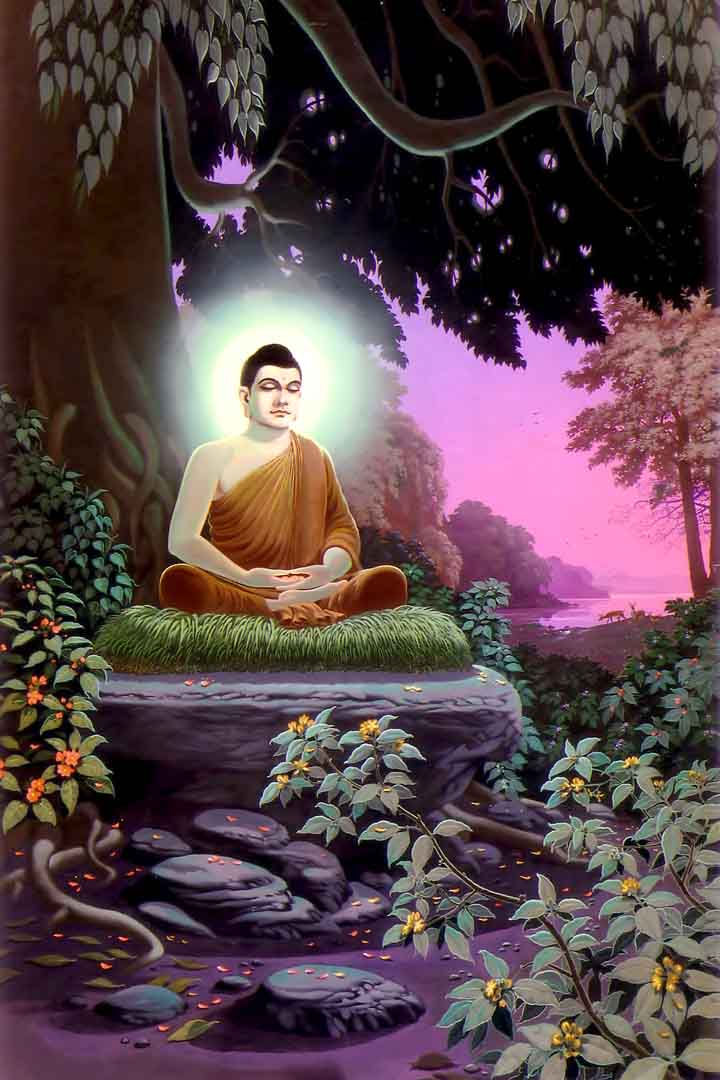 VIPcorel.com_13046.jpg