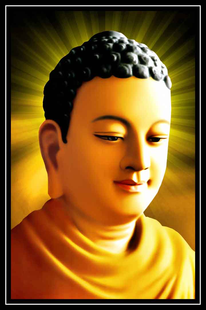 VIPcorel.com_13050.jpg