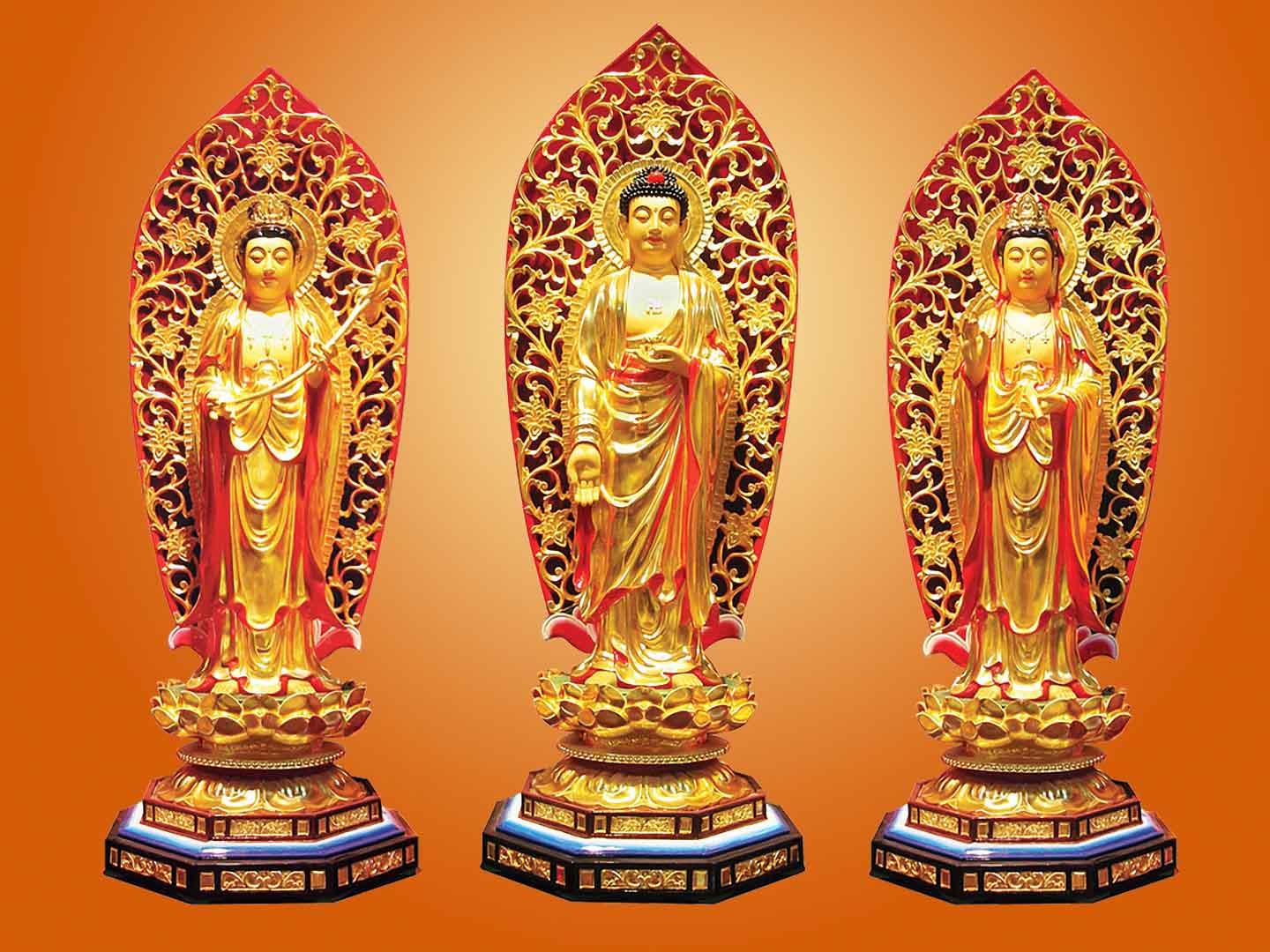 VIPcorel.com_13067.jpg