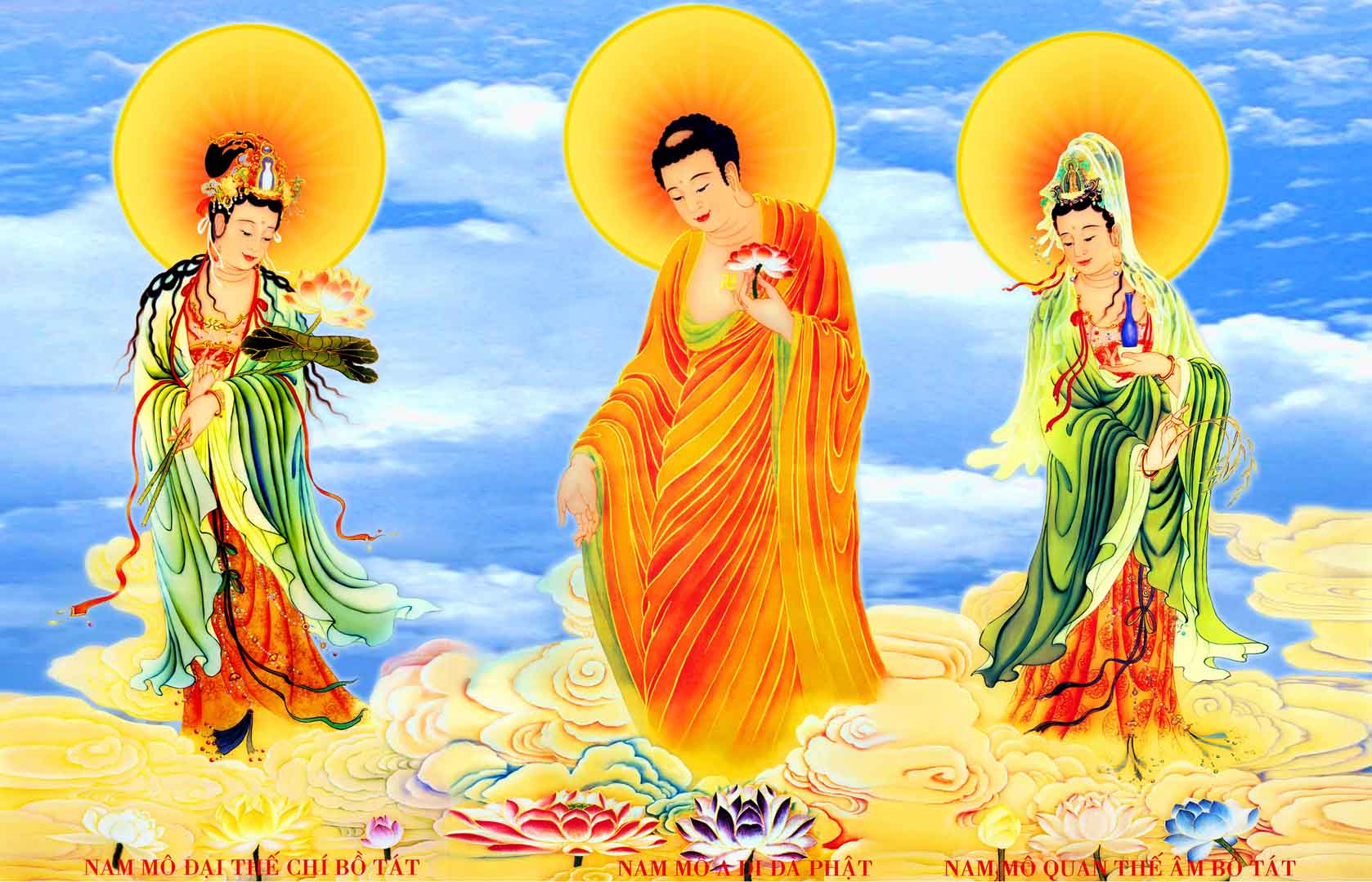 VIPcorel.com_13068.jpg