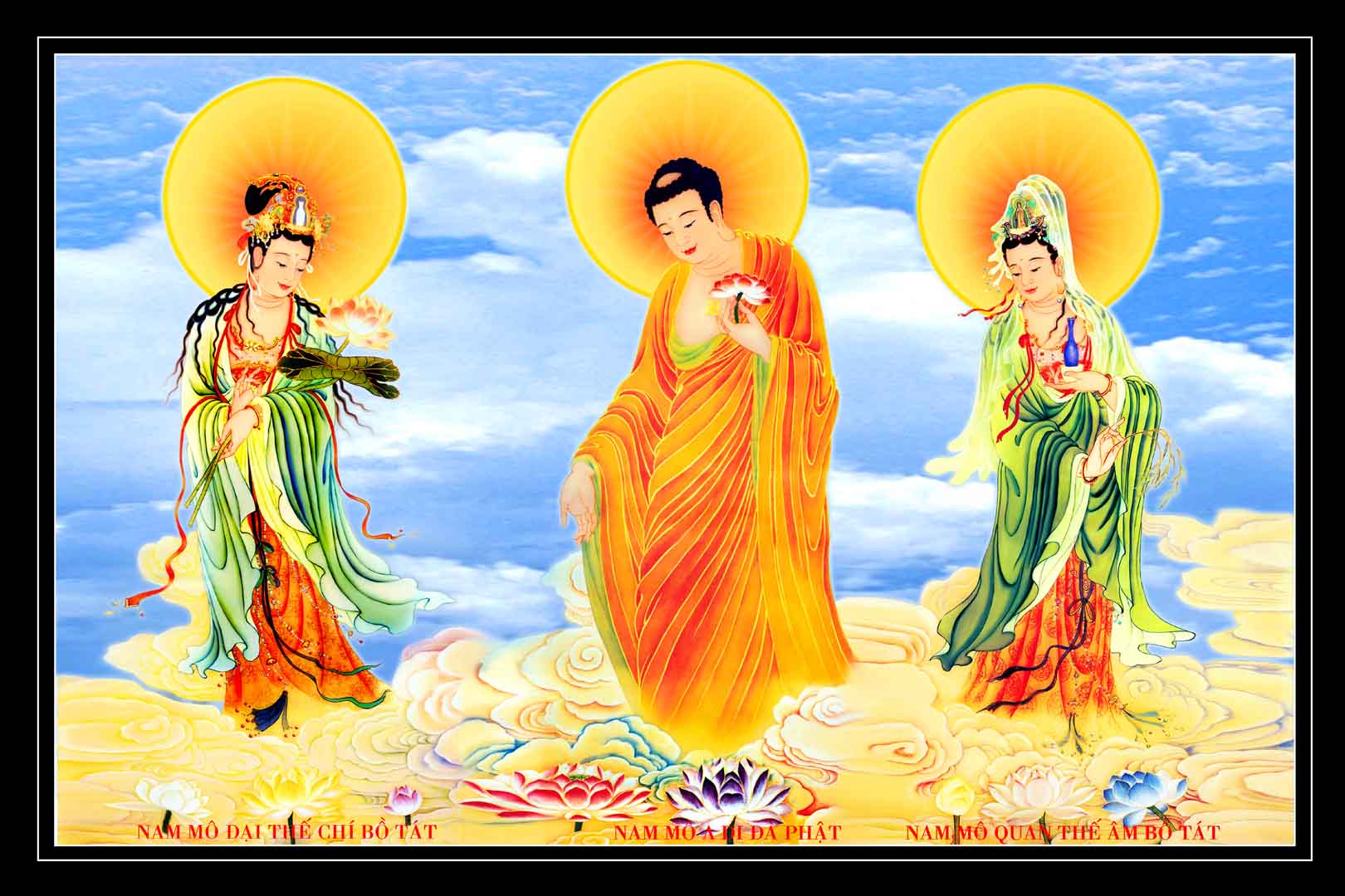 VIPcorel.com_13073.jpg