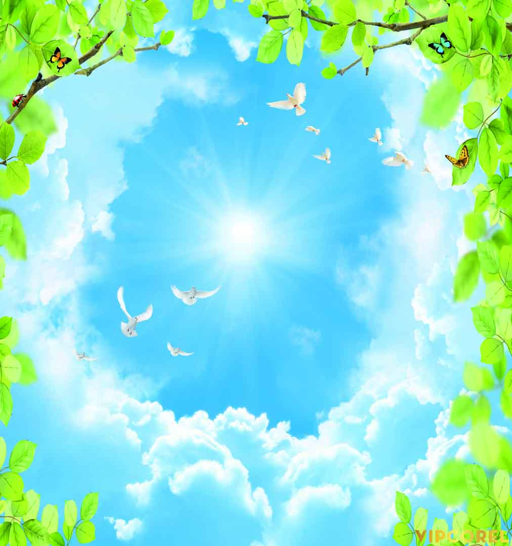 VIPcorel.com_13135.jpg