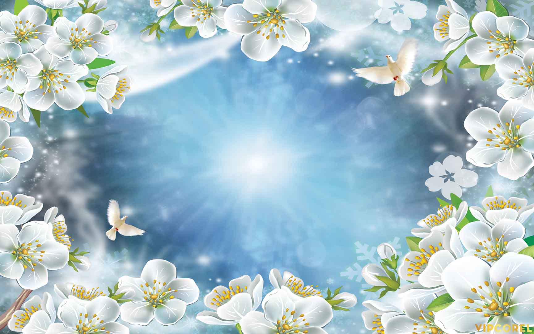 VIPcorel.com_13137.jpg