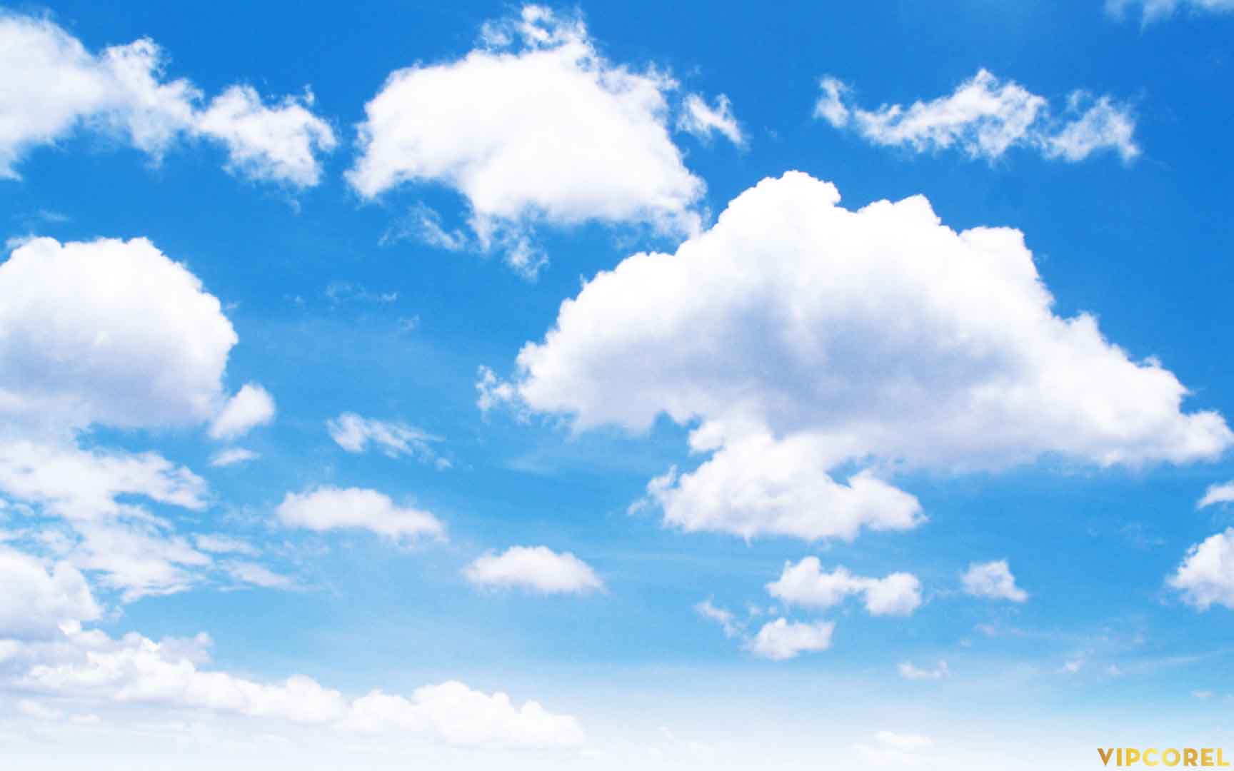 VIPcorel.com_13141.jpg