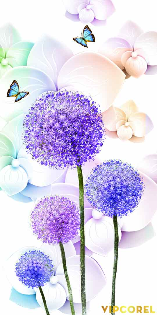 VIPcorel.com_13165.jpg