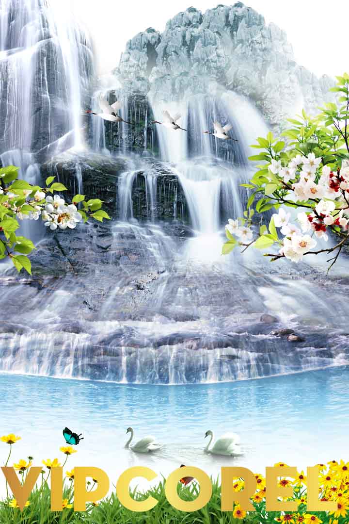 VIPcorel.com_13168.jpg