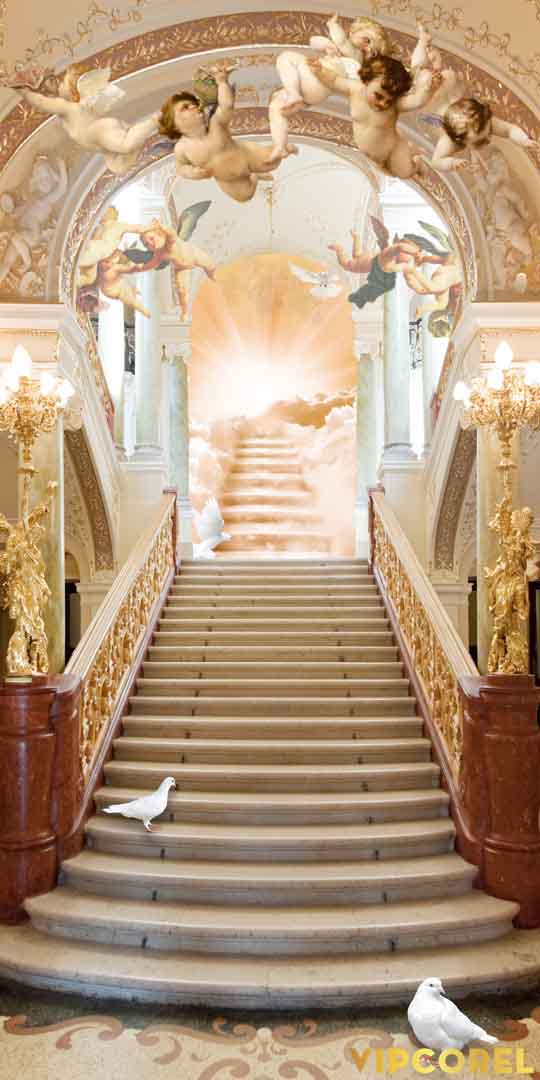VIPcorel.com_13175.jpg