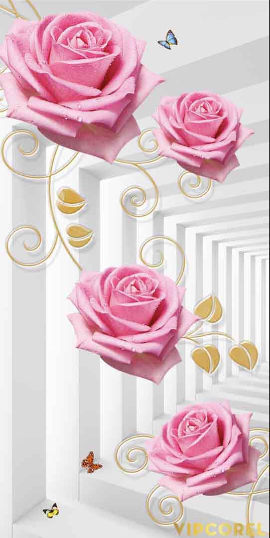 VIPcorel.com_13187.jpg