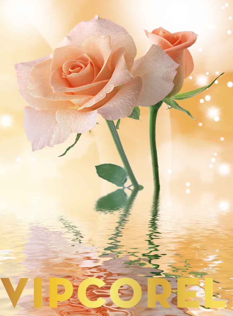 VIPcorel.com_13188.jpg