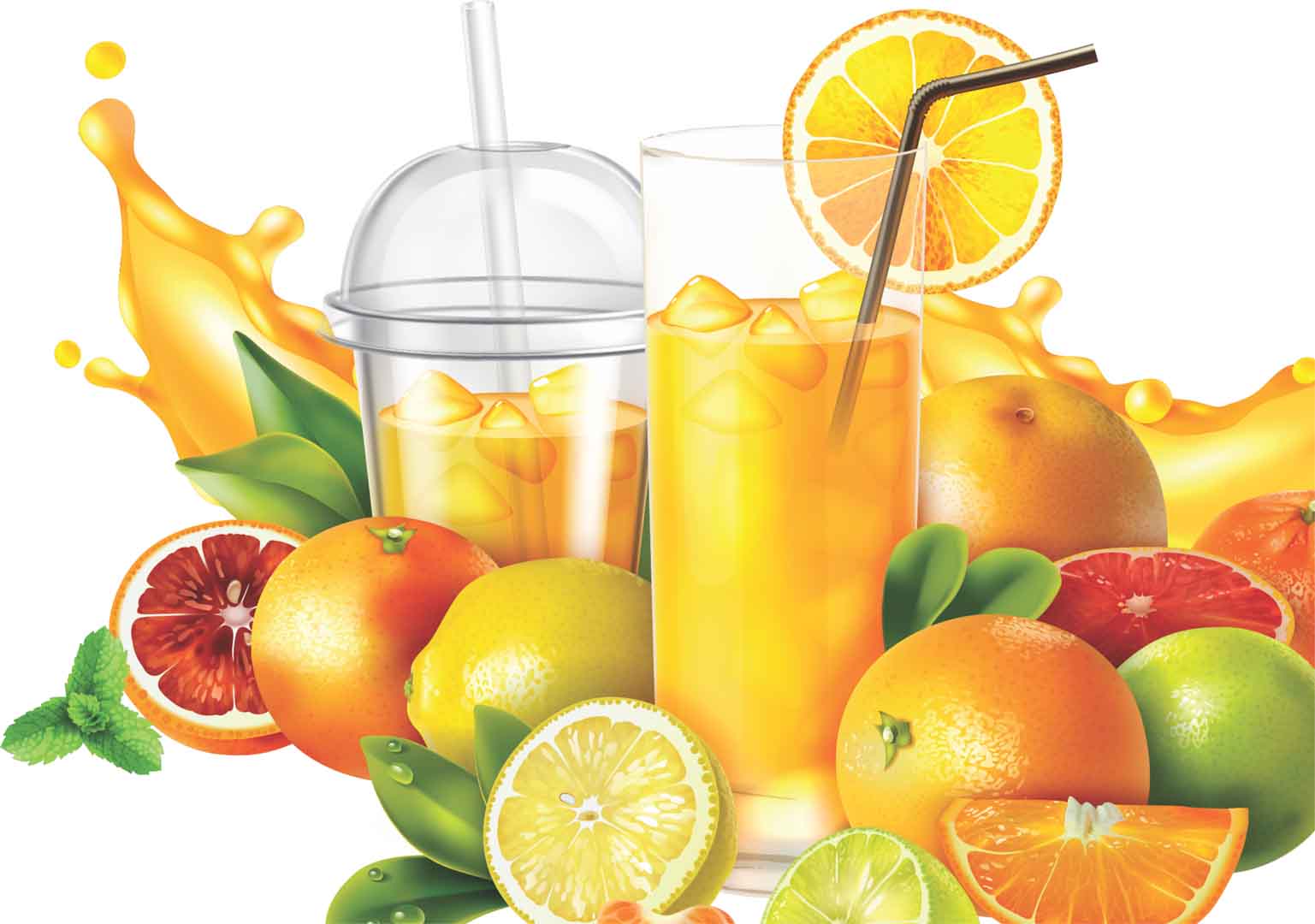 VIPcorel.com_13212 2.jpg