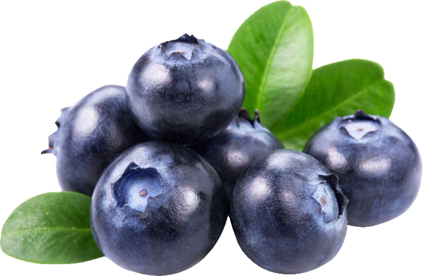 VIPcorel.com_13212 5.jpg