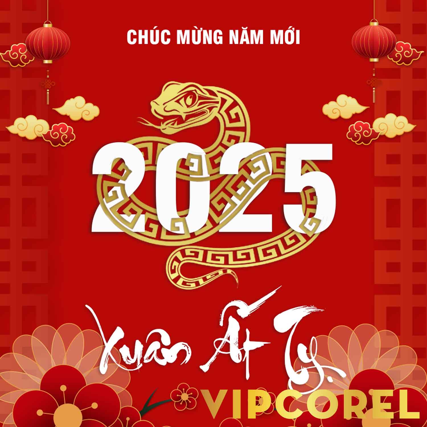 VIPcorel.com_14294 1.jpg