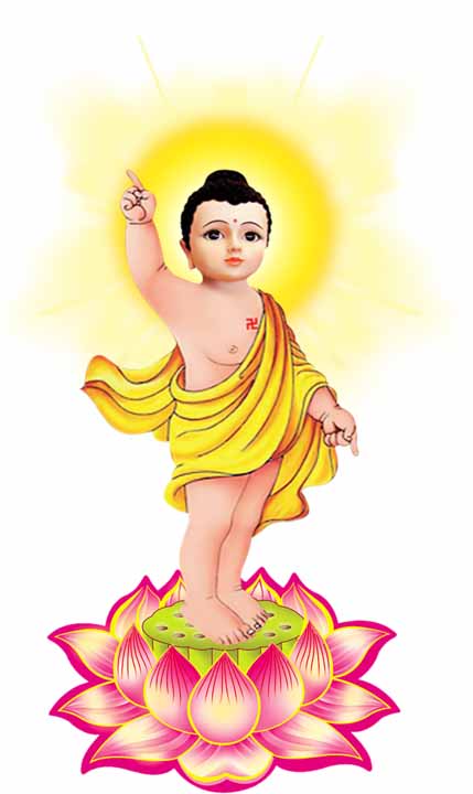 VIPcorel.com_15065 3.jpg