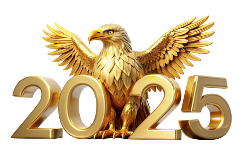 VIPcorel.com_2025 #10.png