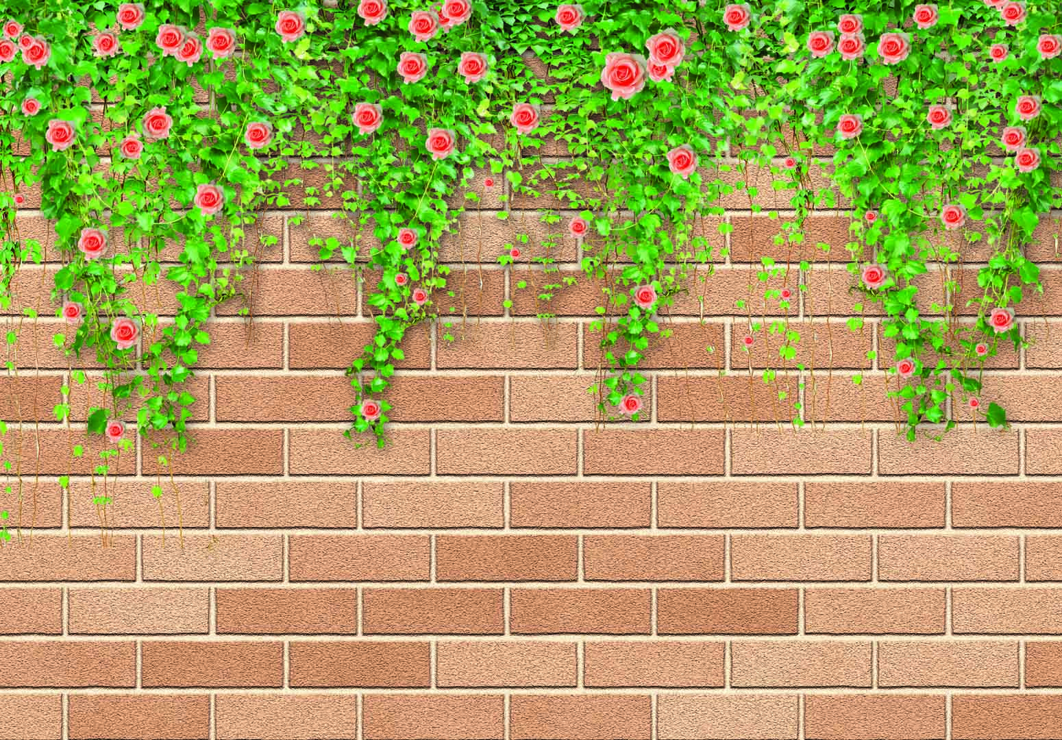 VIPcorel.com_3D-041.jpg