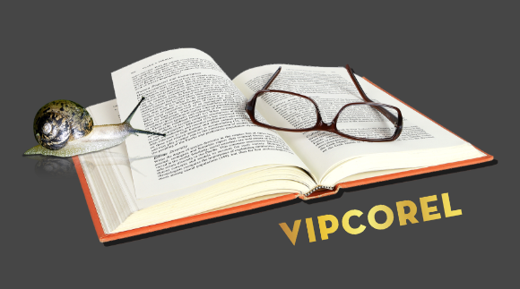 VIPcorel.com_7333-3.png