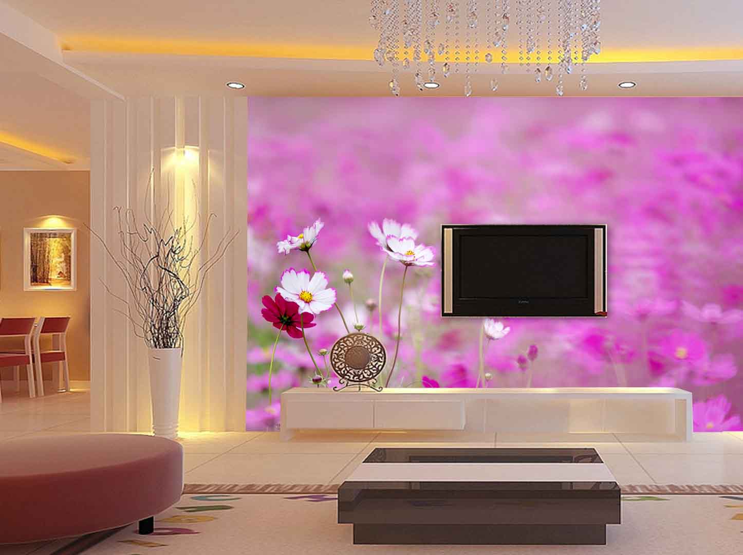 VIPcorel.com_canh dong hoa cuc sao nhay.jpg
