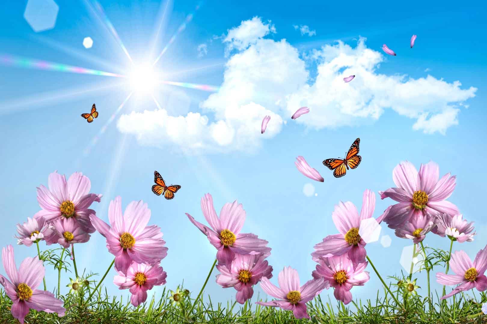VIPcorel.com_FJ-122 (300x200).jpg