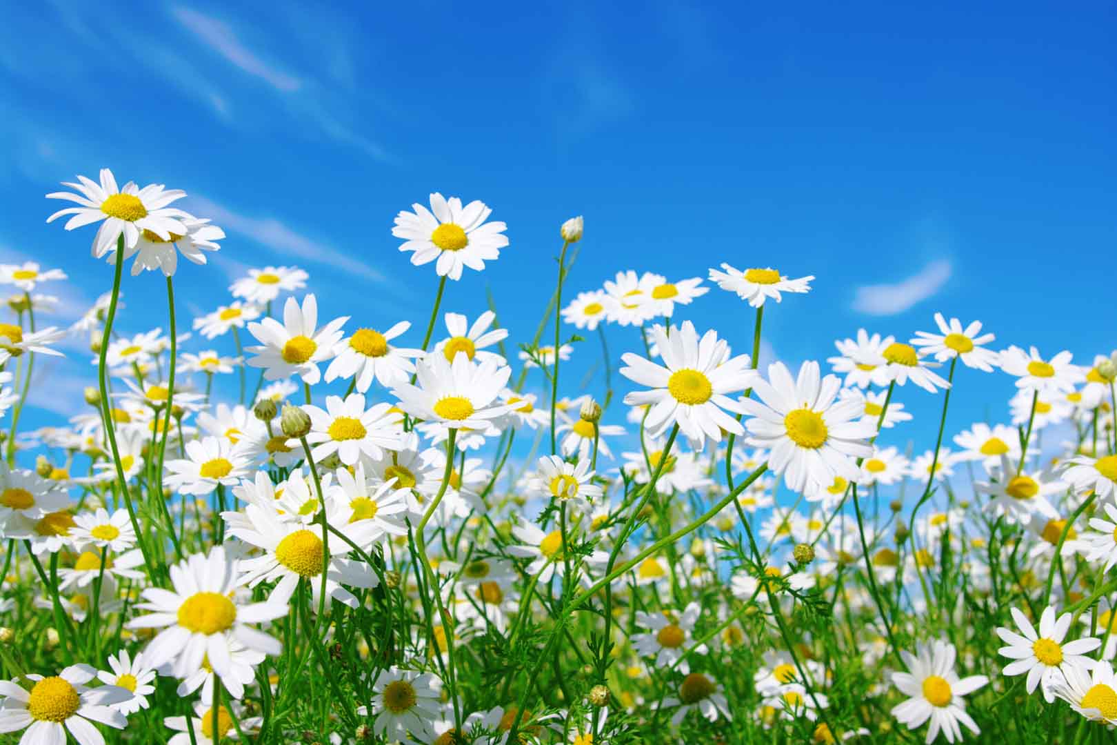 VIPcorel.com_FJ-127 (300x200).jpg