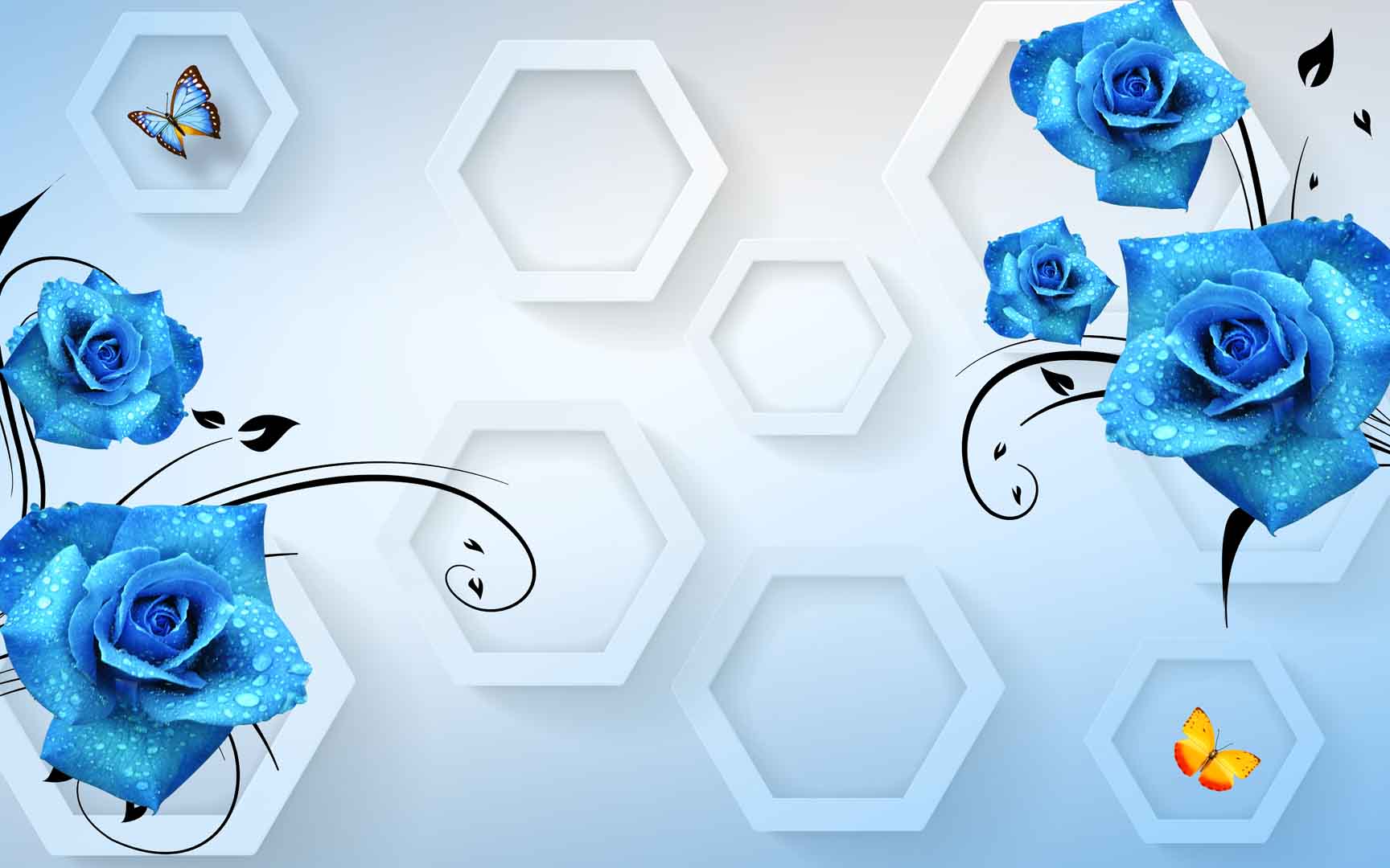 VIPcorel.com_FQ008.jpg