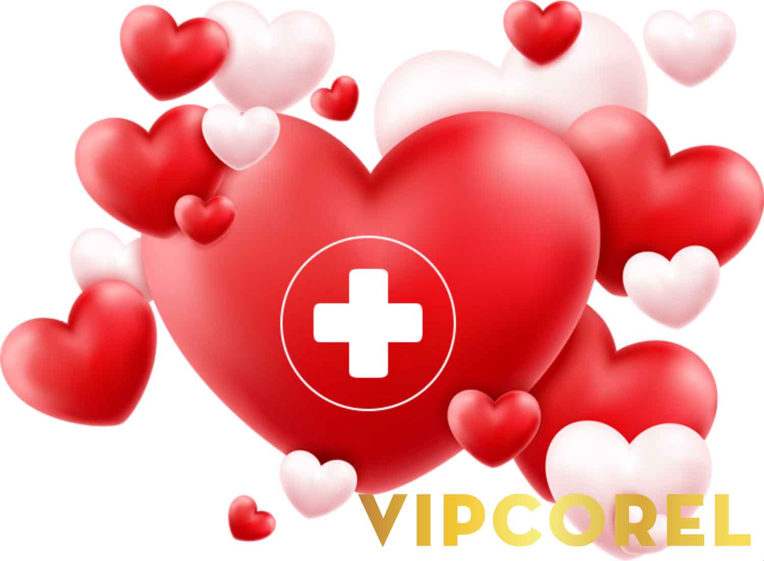 VIPcorel.com_hien-mau-nhan-dao (14).jpg