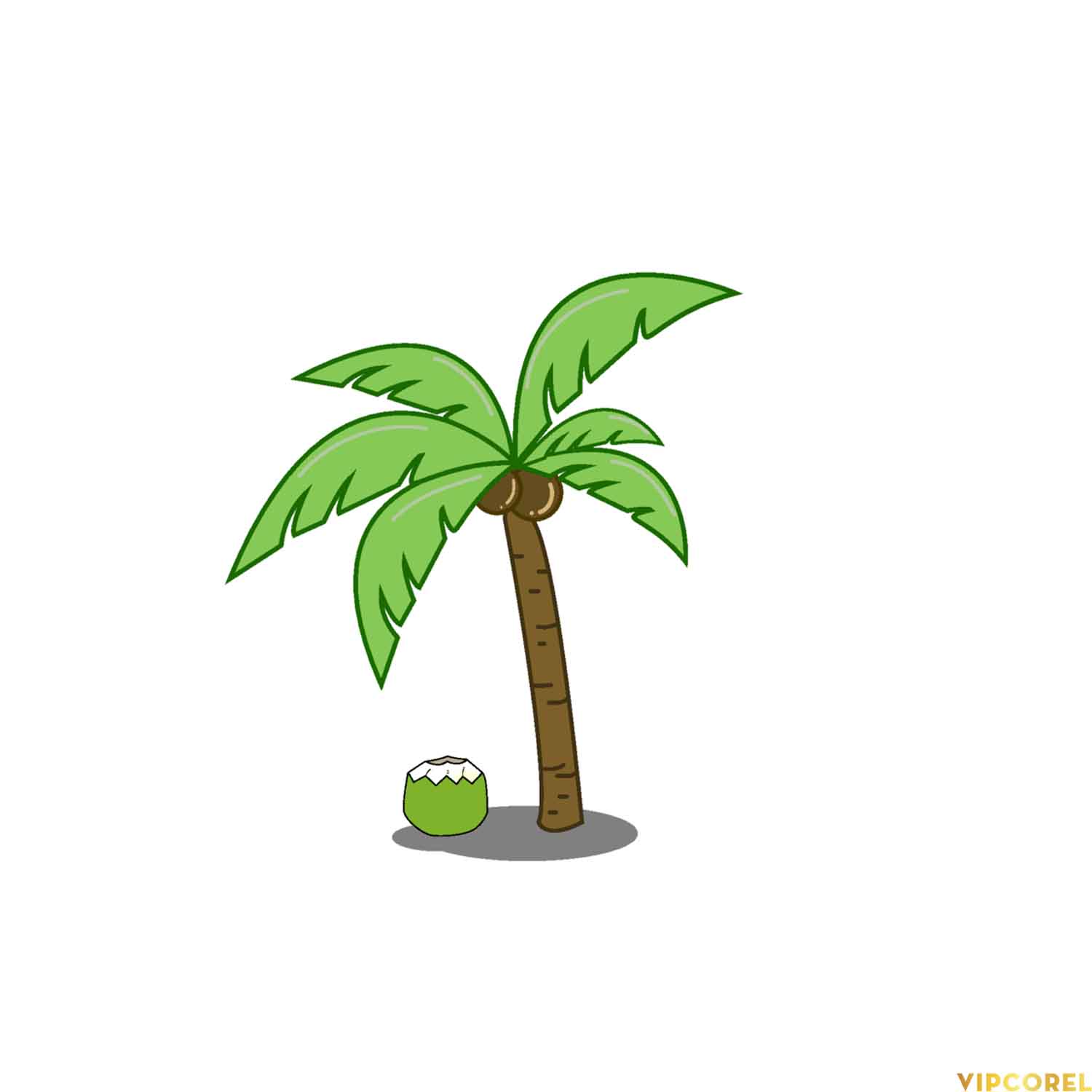 VIPcorel.com_hoa tiet mua he file anh PNG (23).jpg