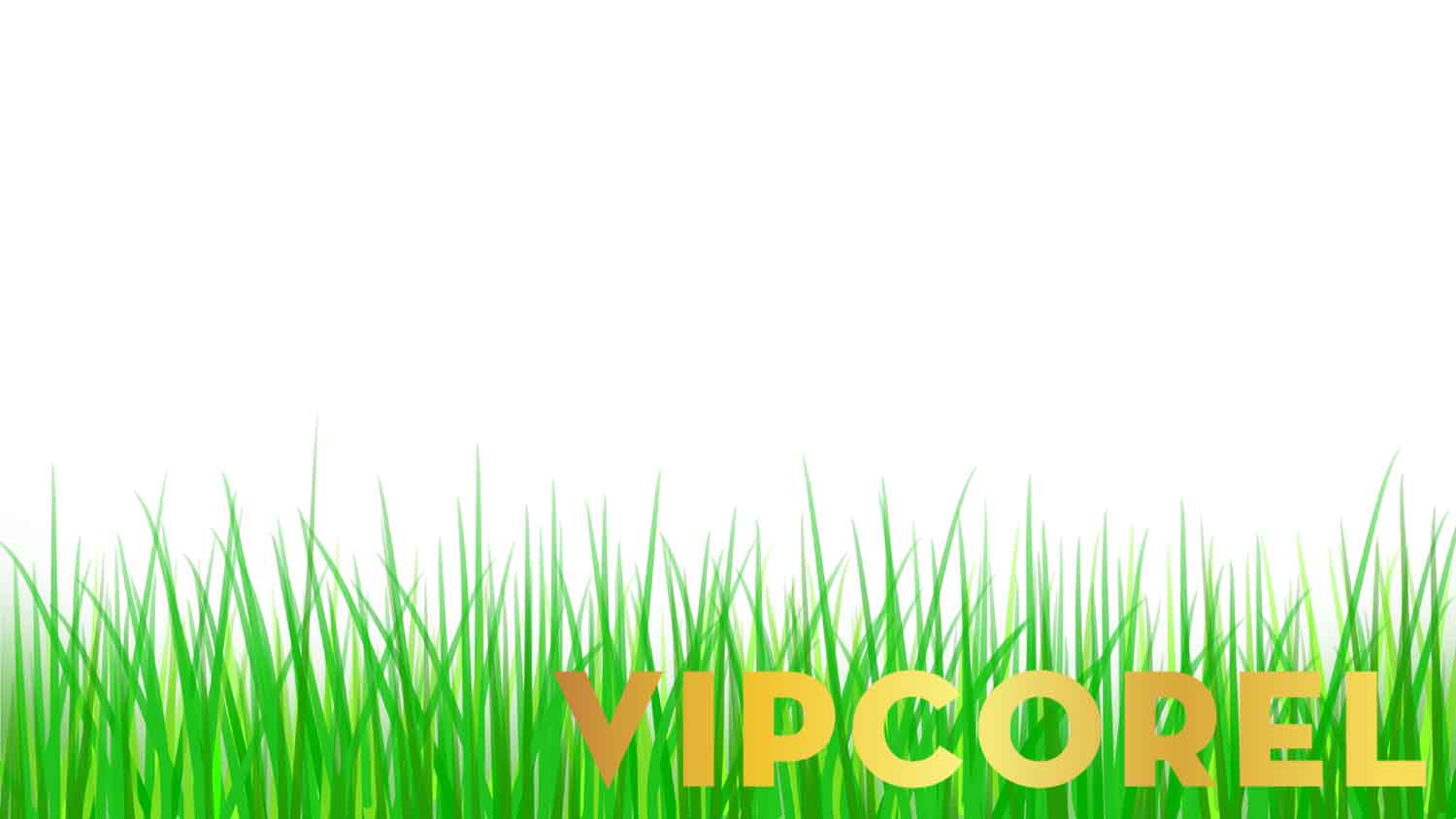 VIPcorel.com_hoa tiet mua he file anh PNG (27).jpg