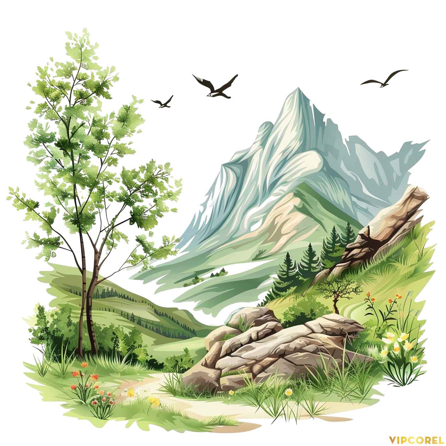 VIPcorel.com_hoa tiet mua he file anh PNG (28).jpg