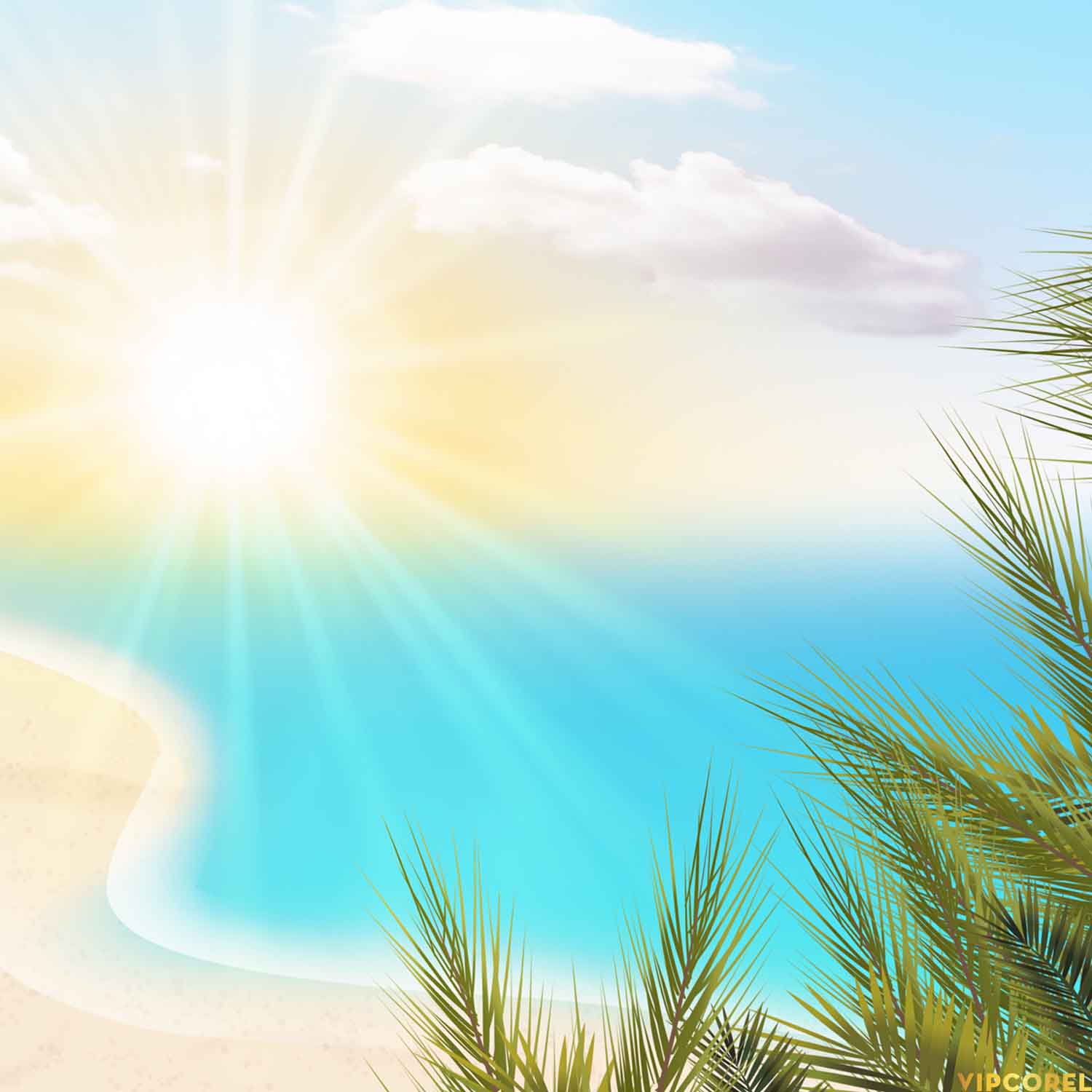 VIPcorel.com_hoa tiet mua he file anh PNG (36).jpg