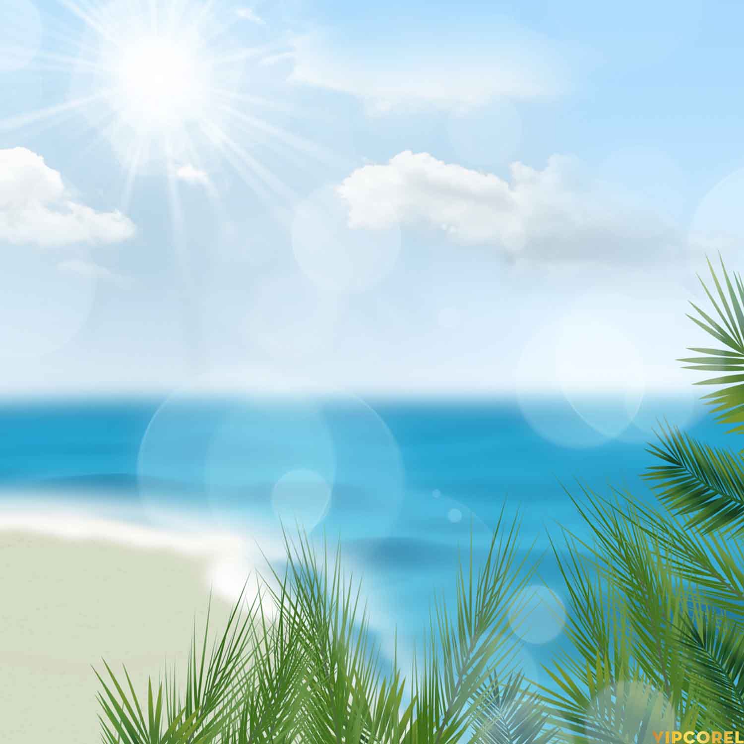 VIPcorel.com_hoa tiet mua he file anh PNG (4).jpg