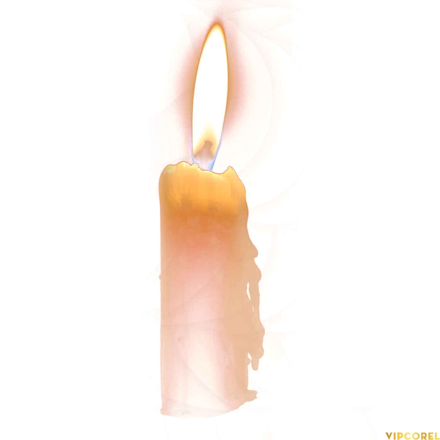 VIPcorel.com_ngon nen anh tach nen PNG (10).jpg
