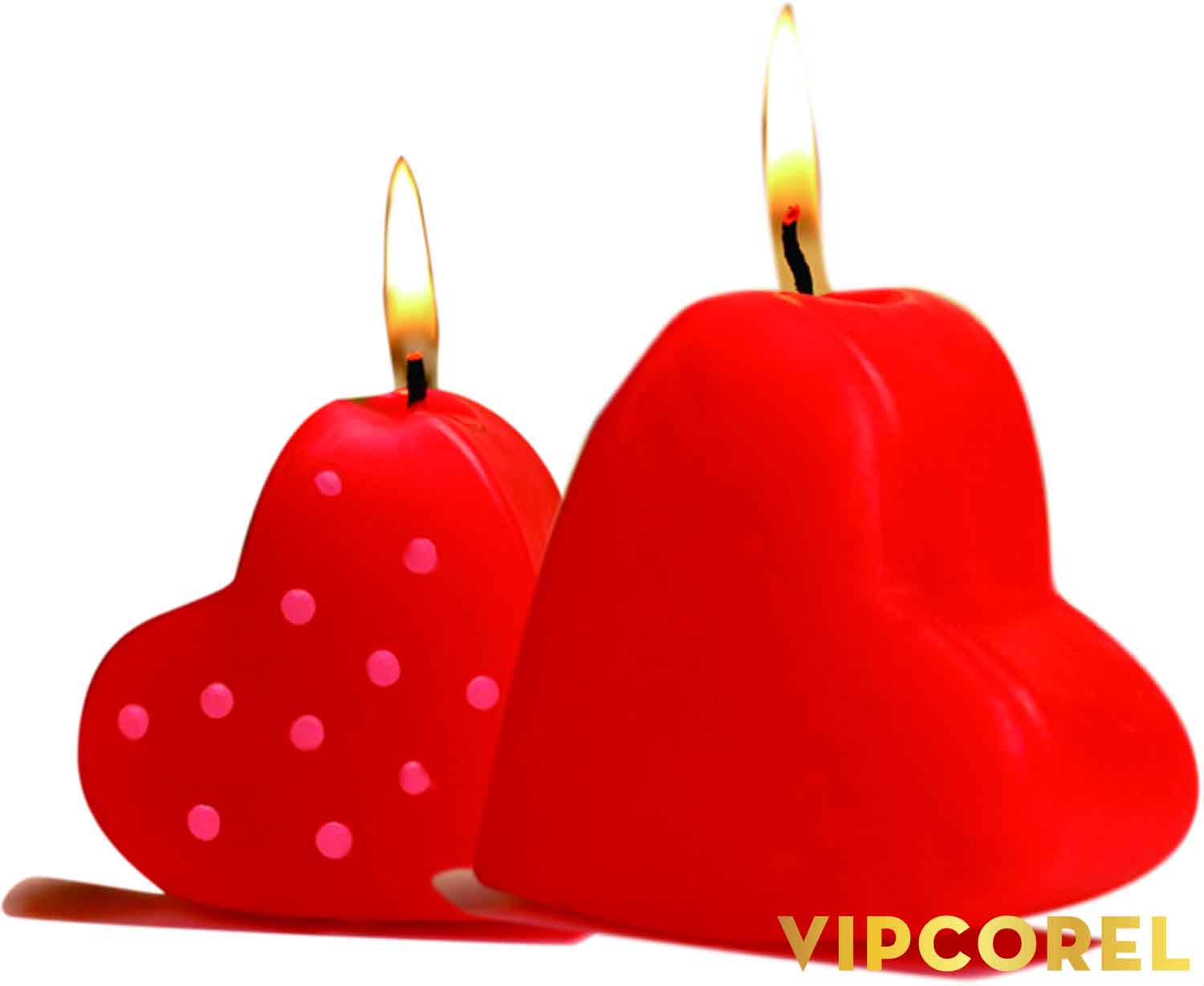 VIPcorel.com_ngon nen anh tach nen PNG (105).jpg