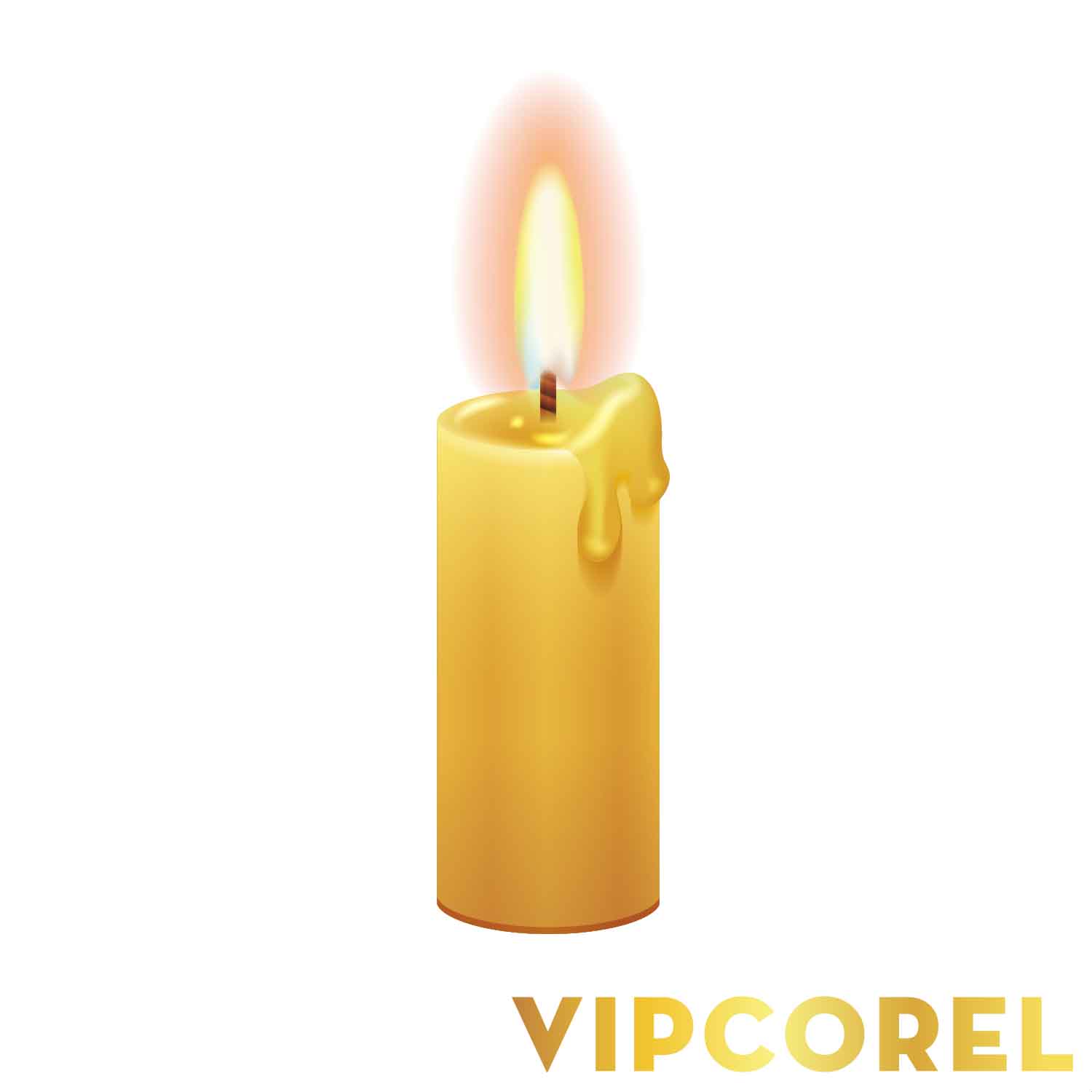 VIPcorel.com_ngon nen anh tach nen PNG (109).jpg