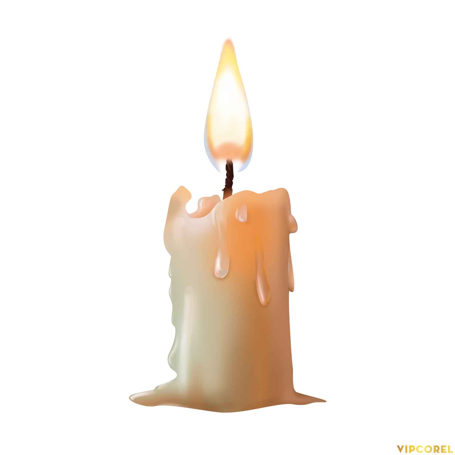VIPcorel.com_ngon nen anh tach nen PNG (12).jpg