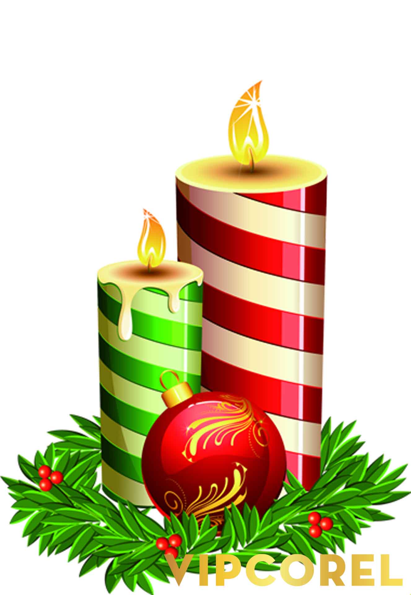 VIPcorel.com_ngon nen anh tach nen PNG (14).jpg