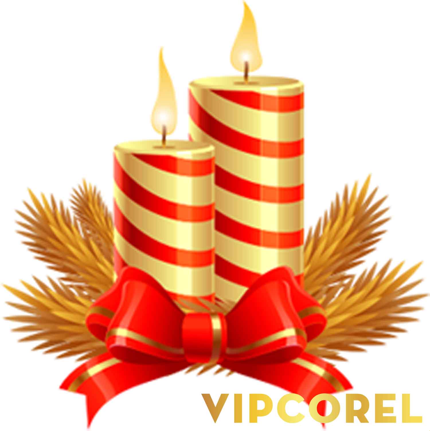 VIPcorel.com_ngon nen anh tach nen PNG (24).jpg